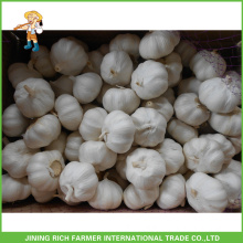 Wholesale China Garlic Natural Fresh Garlic